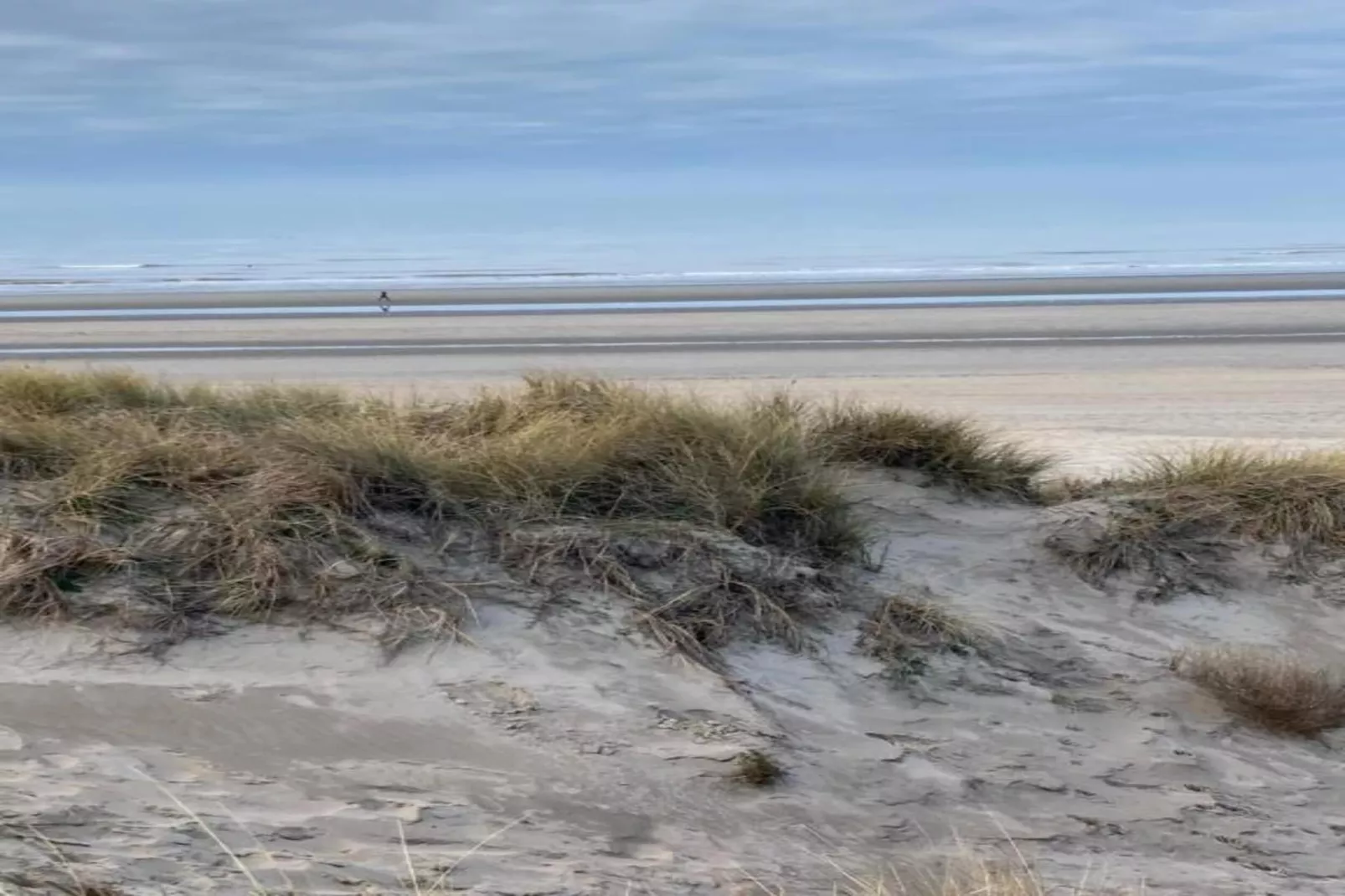 Goudenboom 402-Areas within 1km in summer