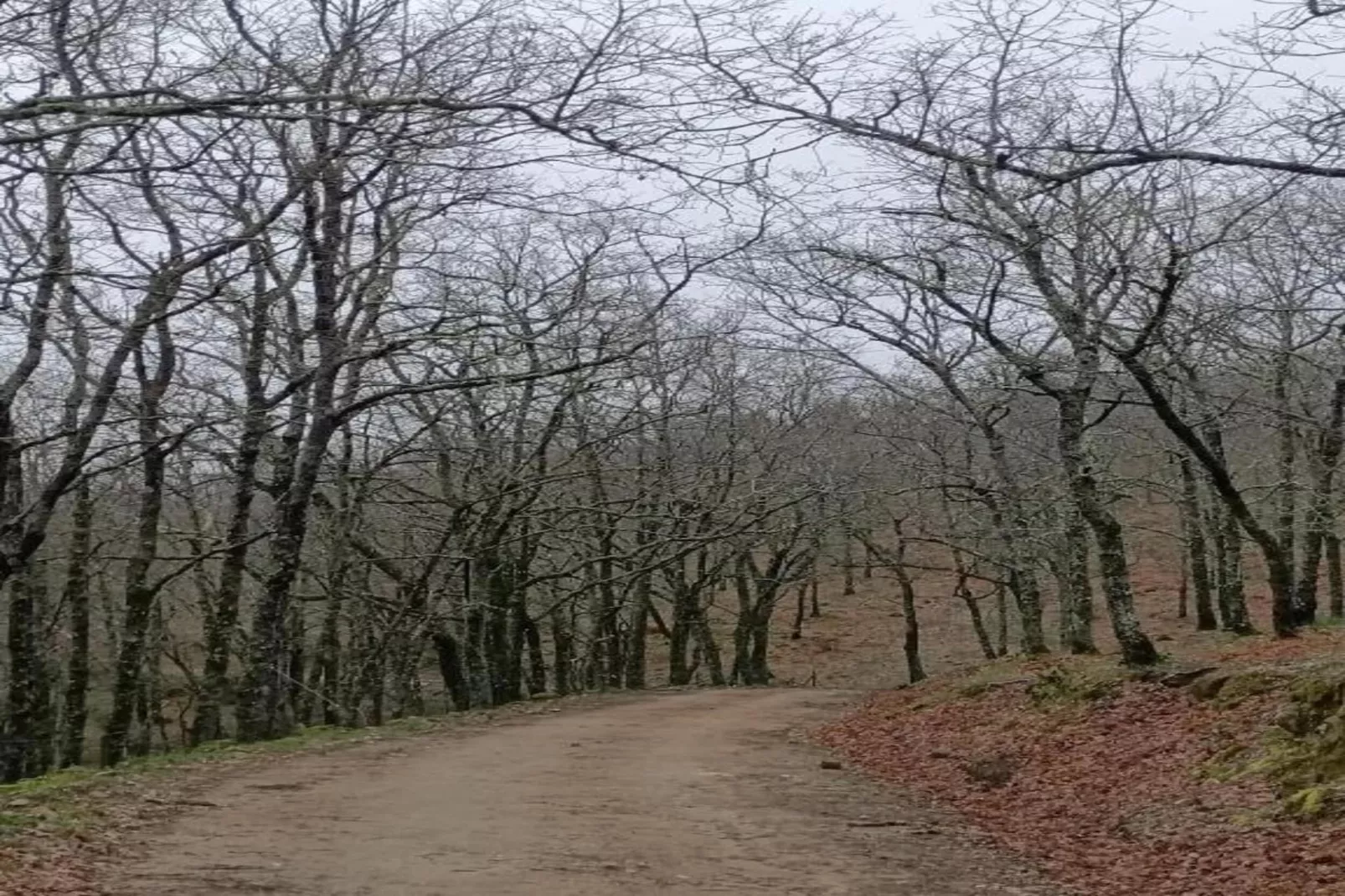 Casa de Pueblo "Rodrigo" Sierra de Gata Cáceres-Zones été à 20 km