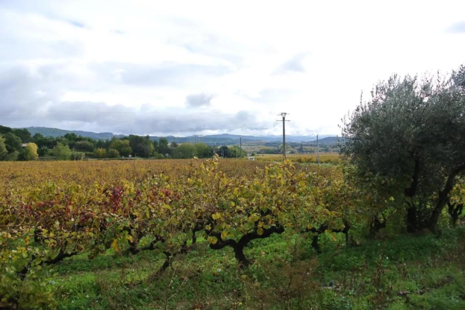 Maison de vacances Le Thor-Areas within 20km in summer
