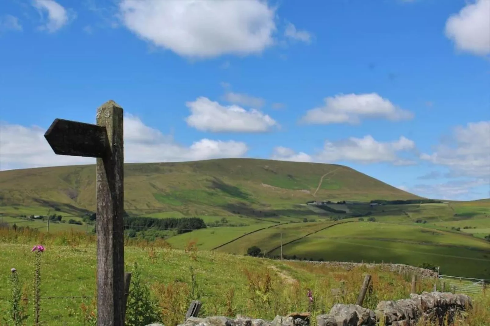 New Puddledock-Areas within 20km in summer