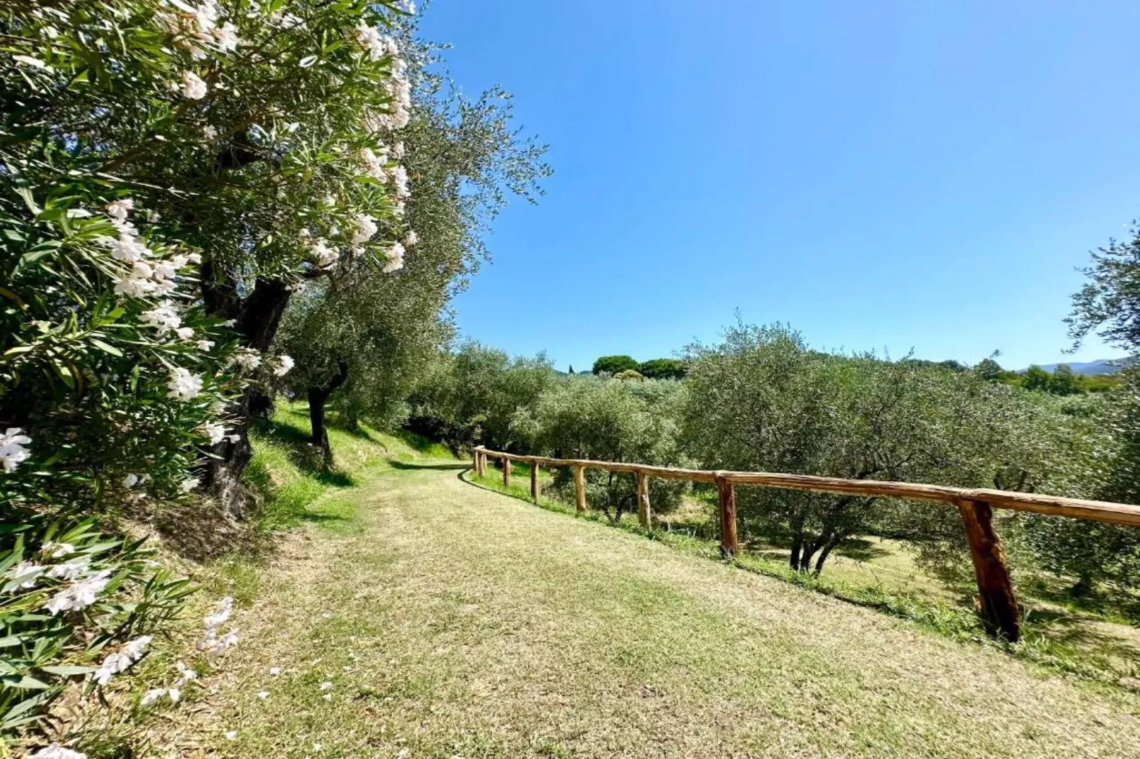 Gromoletta-Gebiete Sommer 20 km