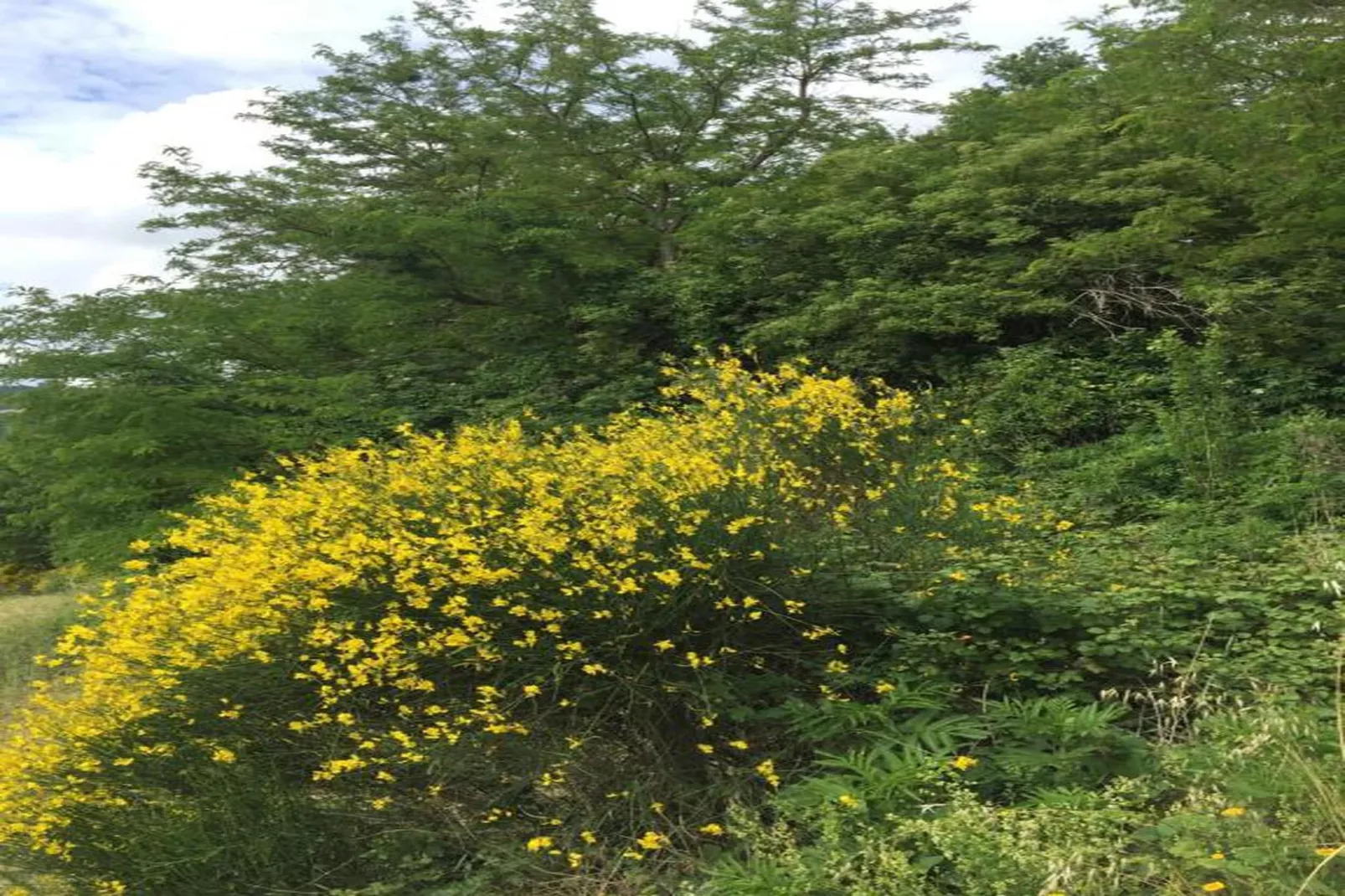 Piano Giardino-Areas within 20km in summer