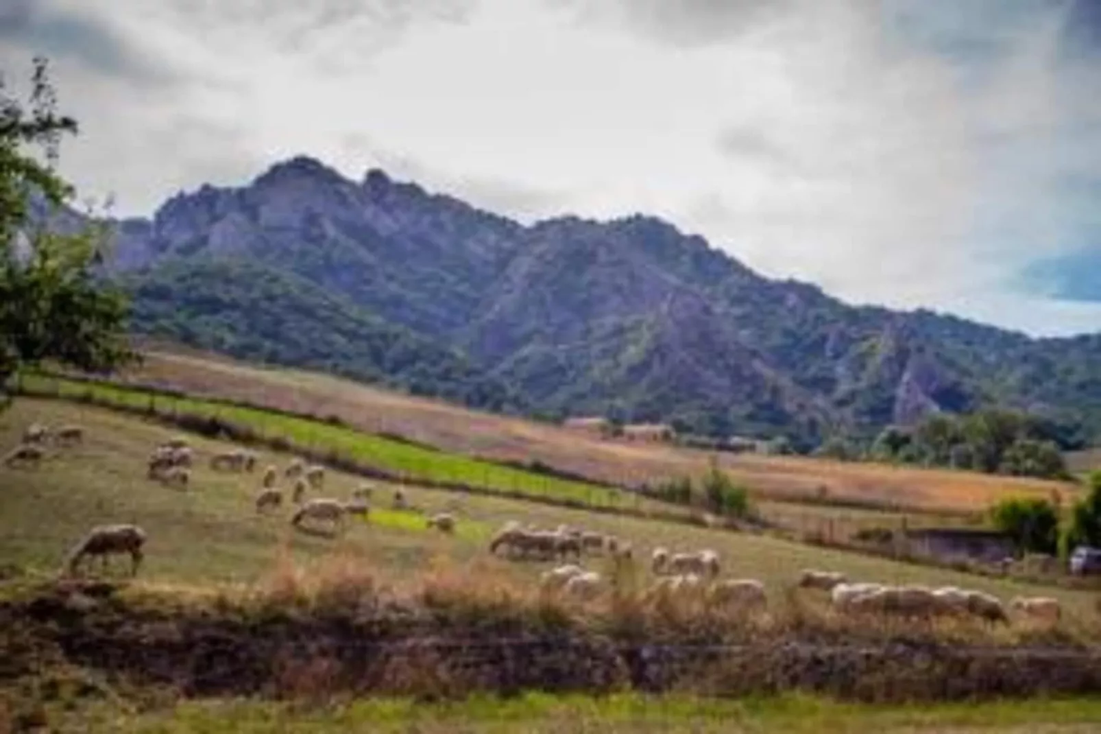 La Foresteria di San Leo-Areas within 20km in summer