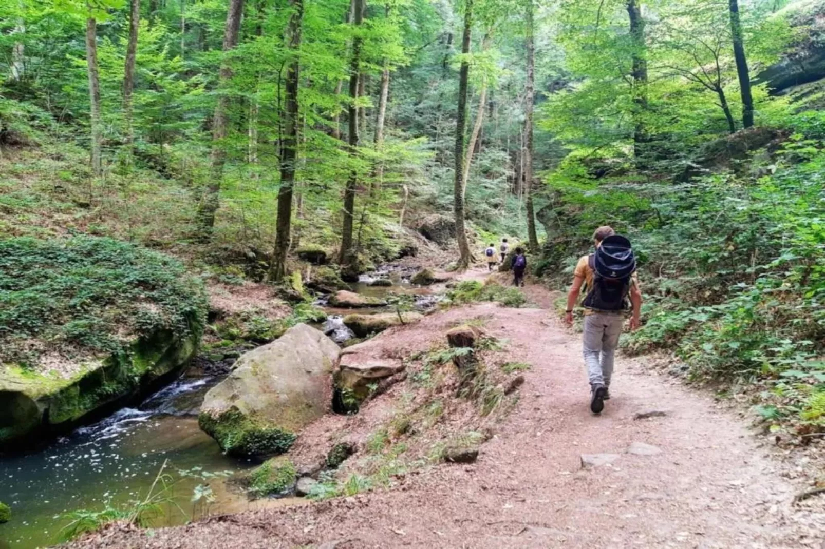 Camping Nommerlayen 1-Areas within 20km in summer