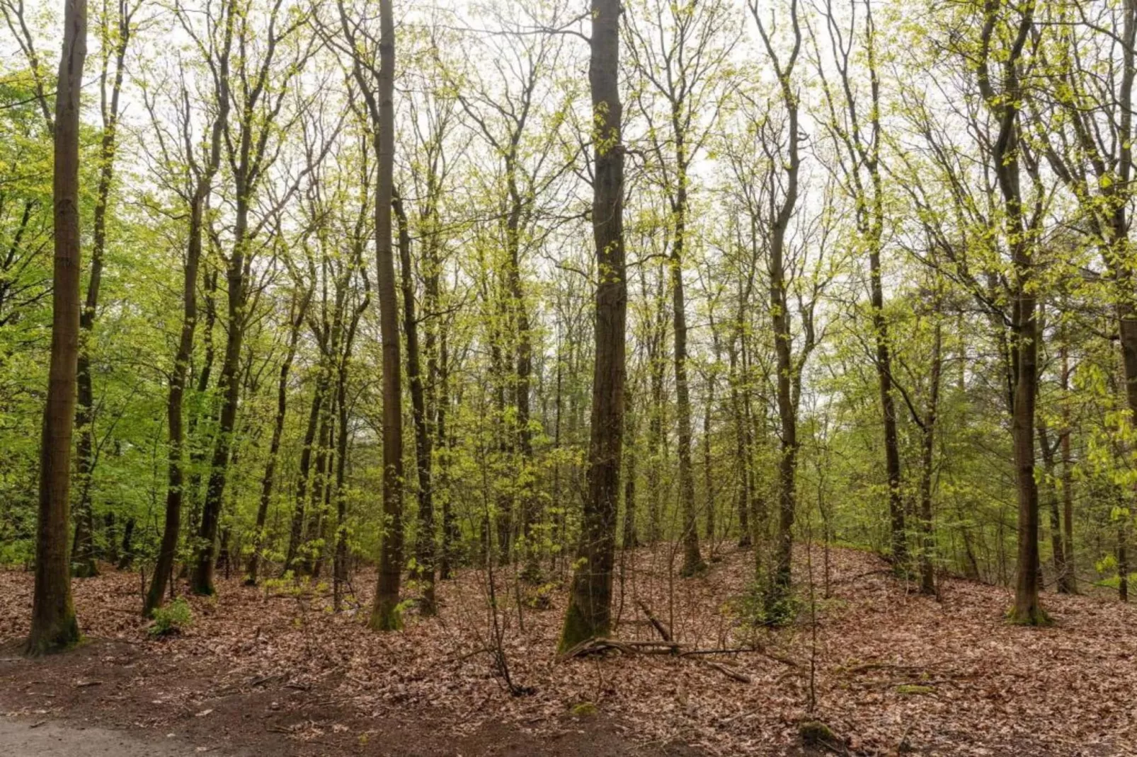 Landgoed De IJsvogel 12-Zones été à 20 km