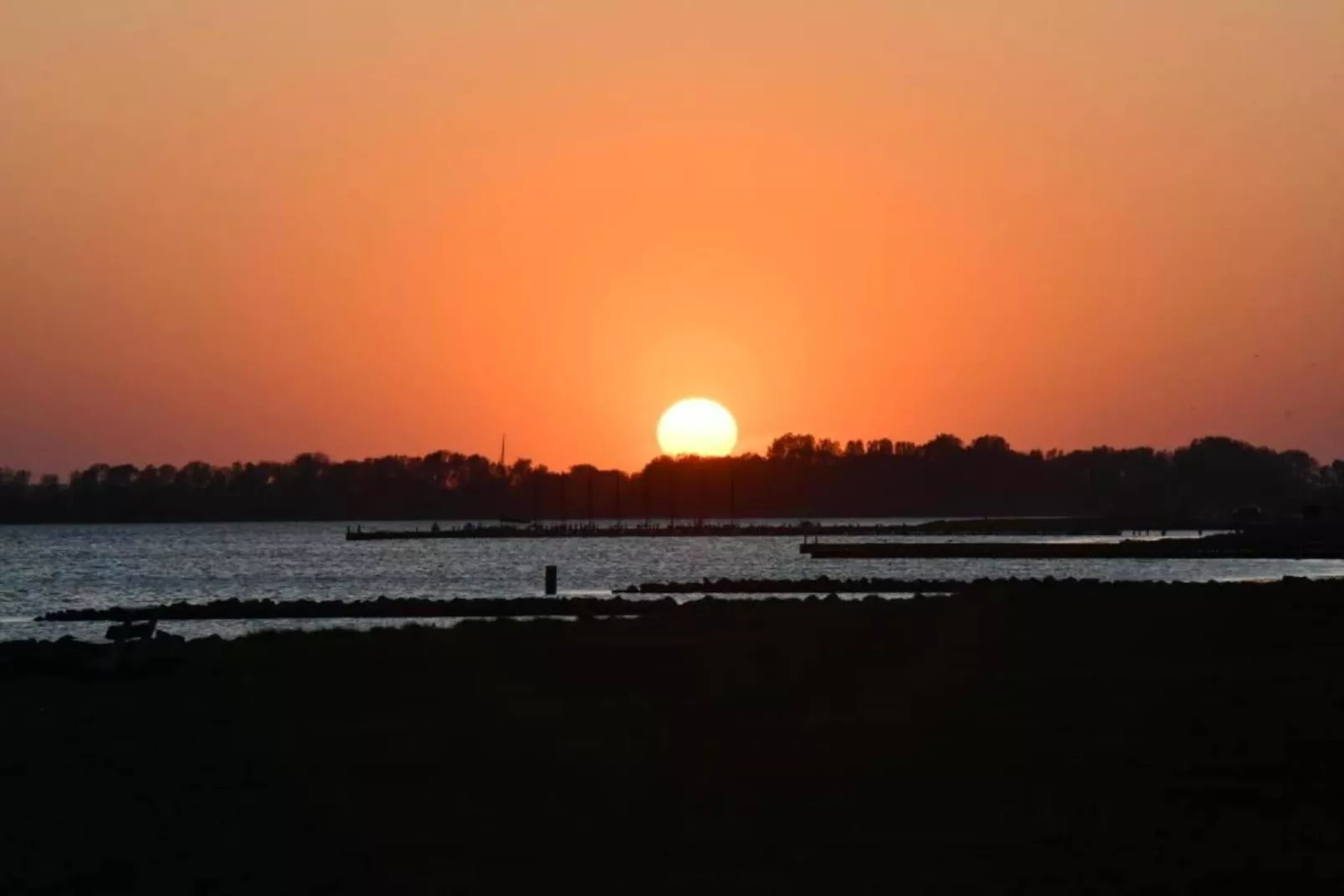 Suite Cotton-Areas within 20km in summer