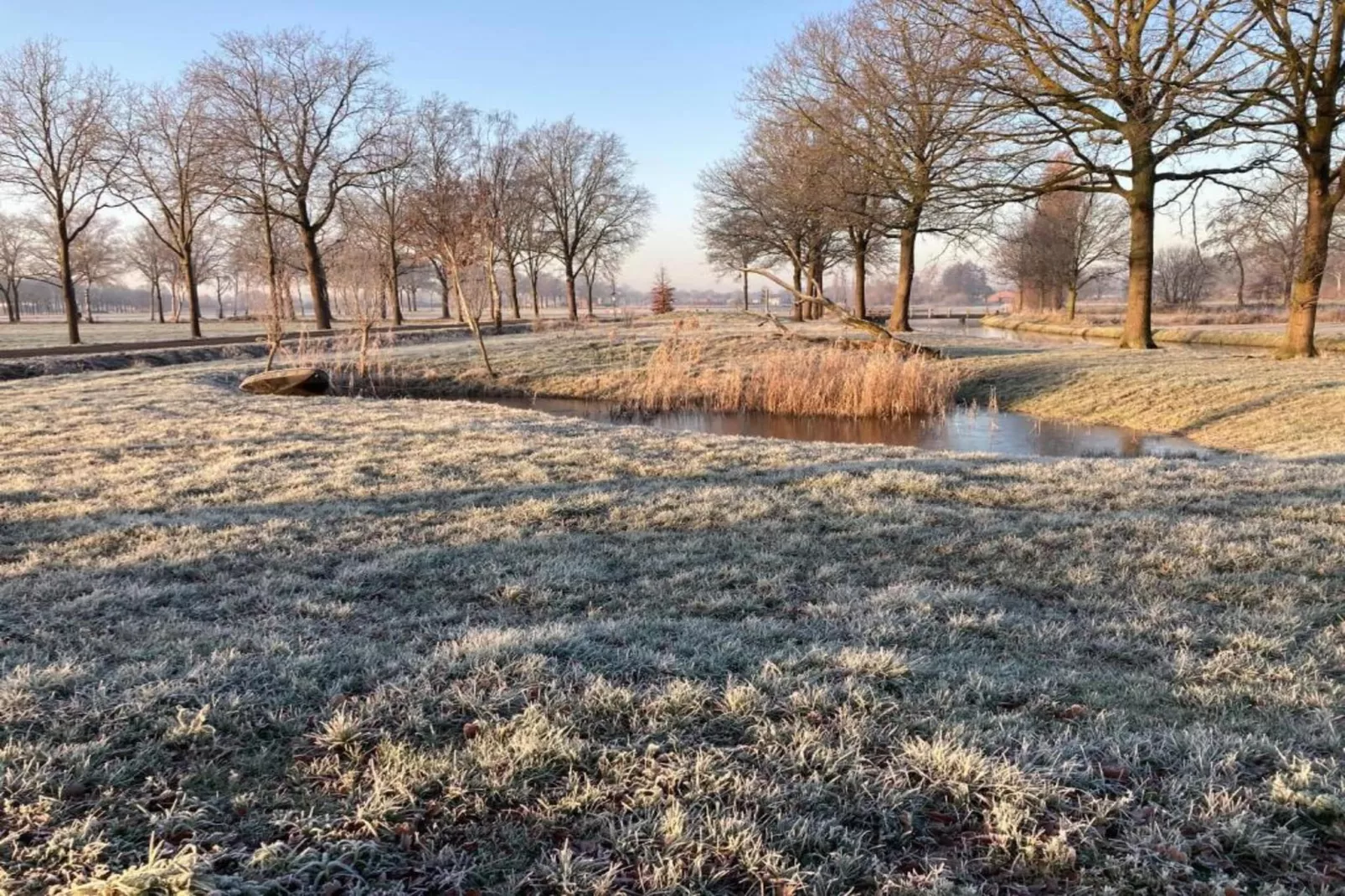 Vakantiepark Sandberghe 12-Gebiete Sommer 20 km