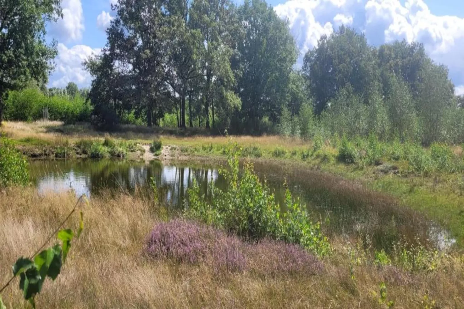 Vakantiepark Sandberghe 13-Zones été à 20 km