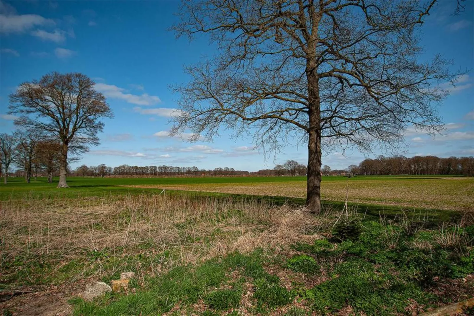 Vakantiewoning de Zwaluw-Areas within 20km in summer