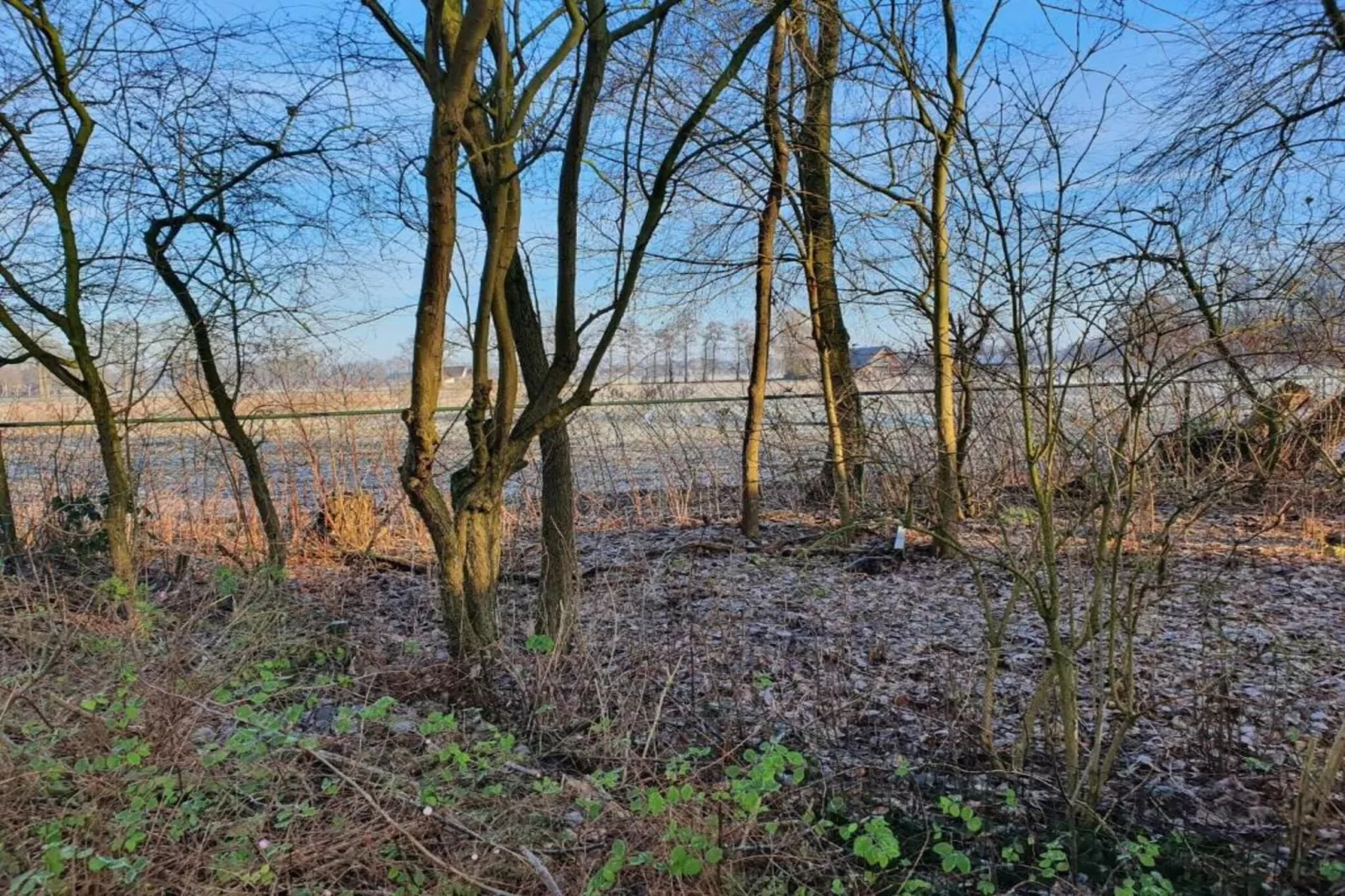 Koe in de Kost 3-Zones été à 1 km