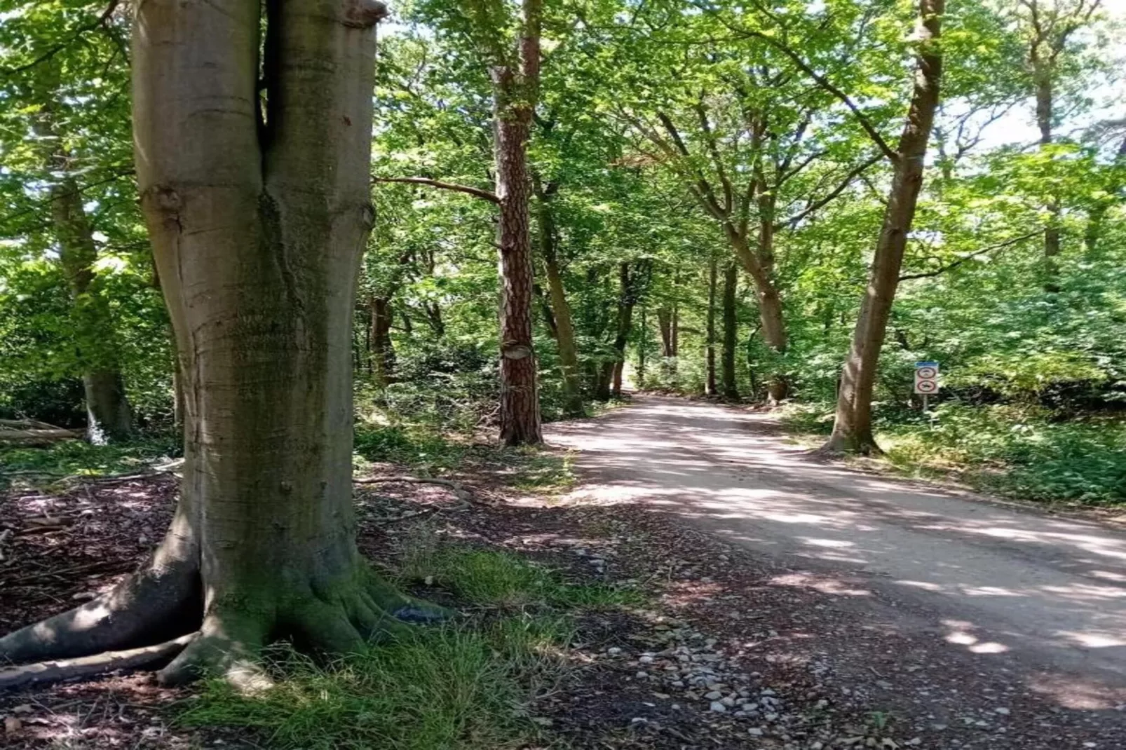 Residence De Eese 26-Areas within 20km in summer