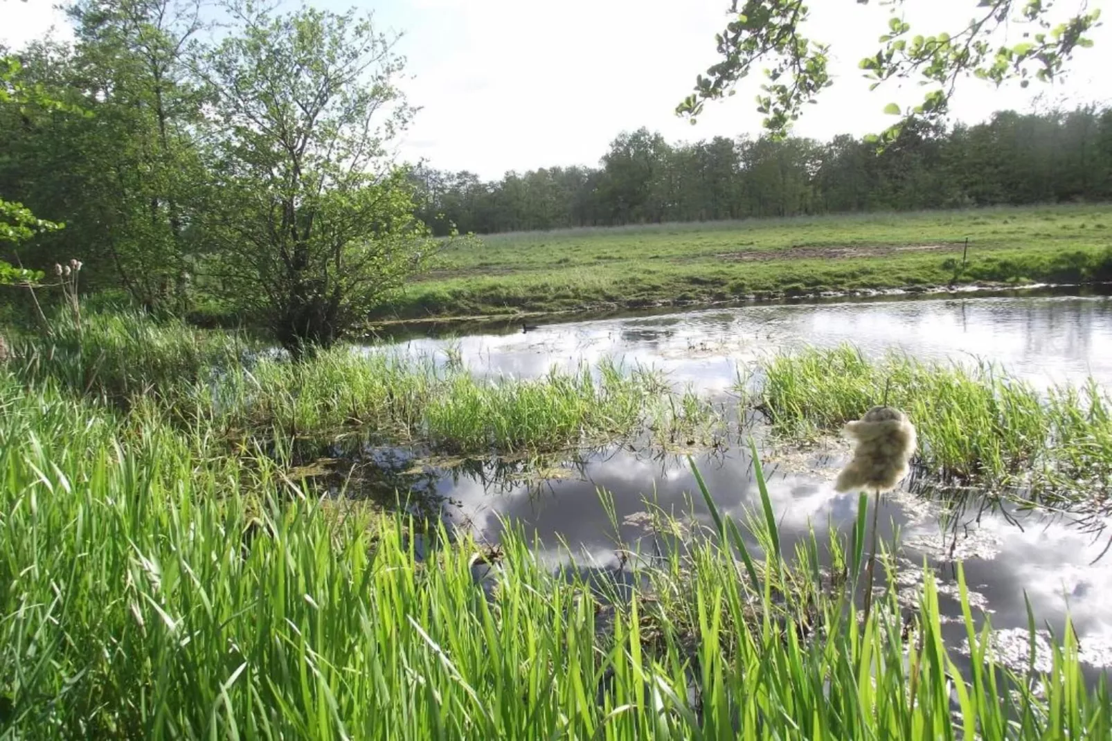 Twee safaritenten "Noflik" & "Gaadlik" naast elkaar-Areas within 5km in summer