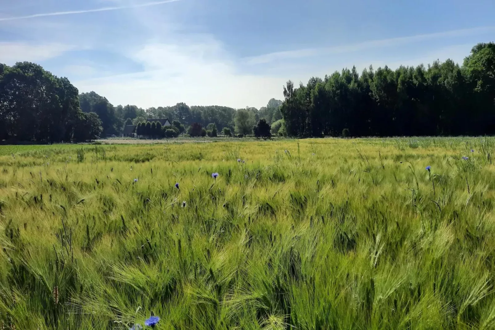 Schöne Ferienwohnung in Bissendorf nähe Osnabrück-Areas within 1km in summer
