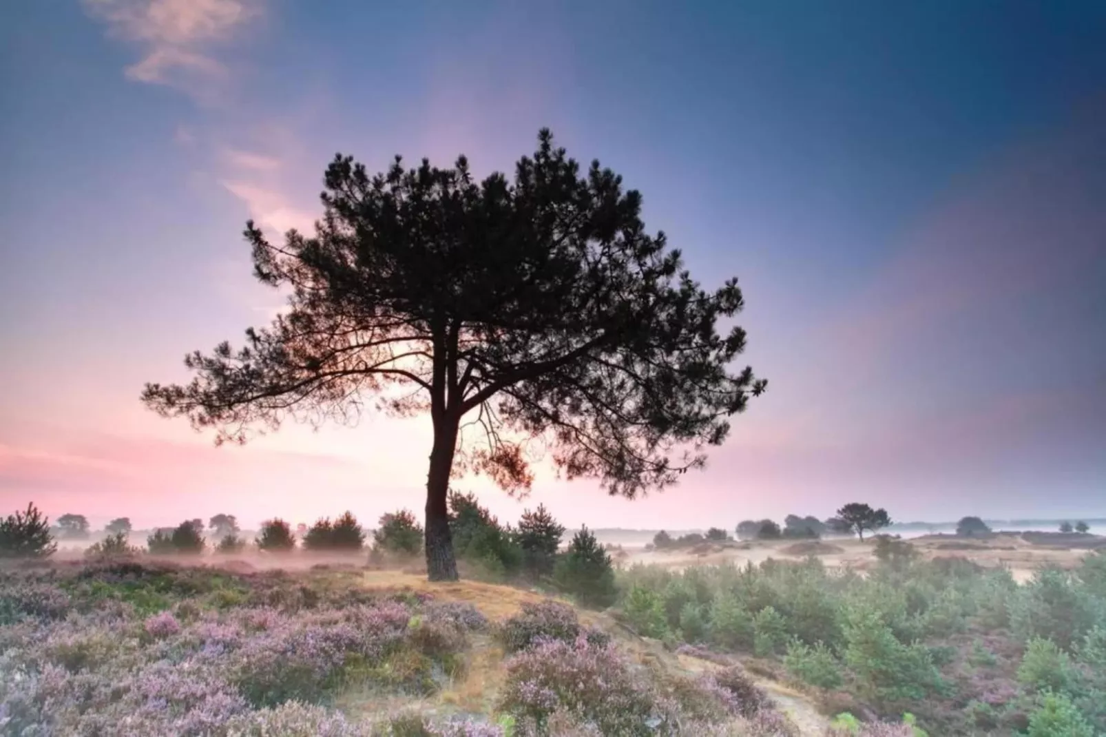 Resort Drentse Weelde 1-Areas within 5km in summer