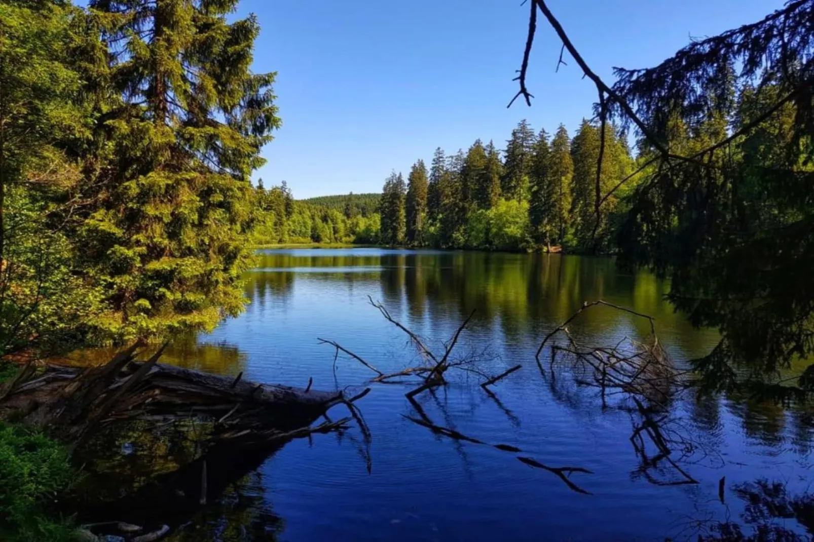 Ferienwohnung Bockwiese-Hahnenklee-Areas within 20km in summer