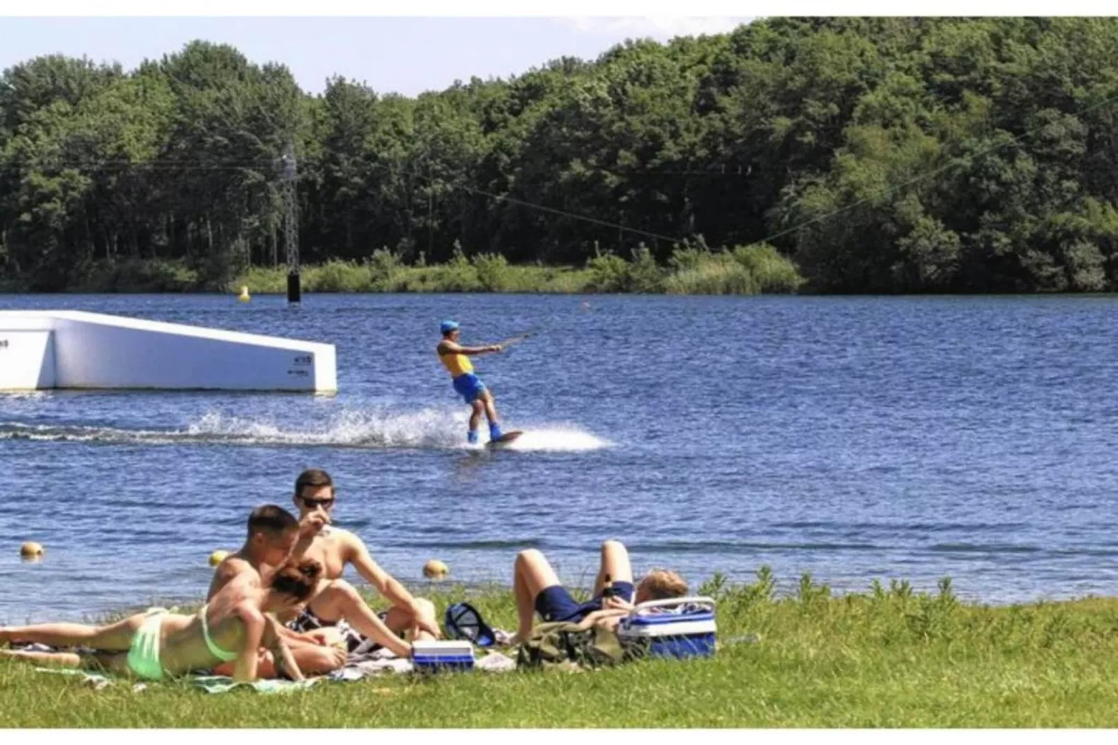 Dwergarend 17-01 - Areas within 20km in summer
