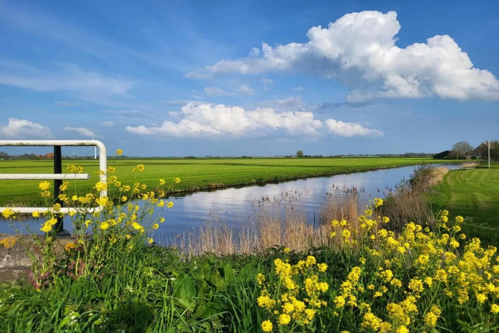 Appartement aan het meer in Heeg-Areas within 5km in summer