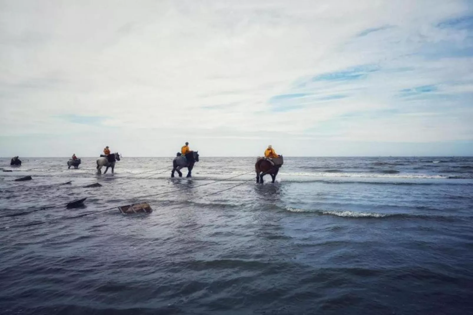 PLAZA Z/Z22-Areas within 5km in summer