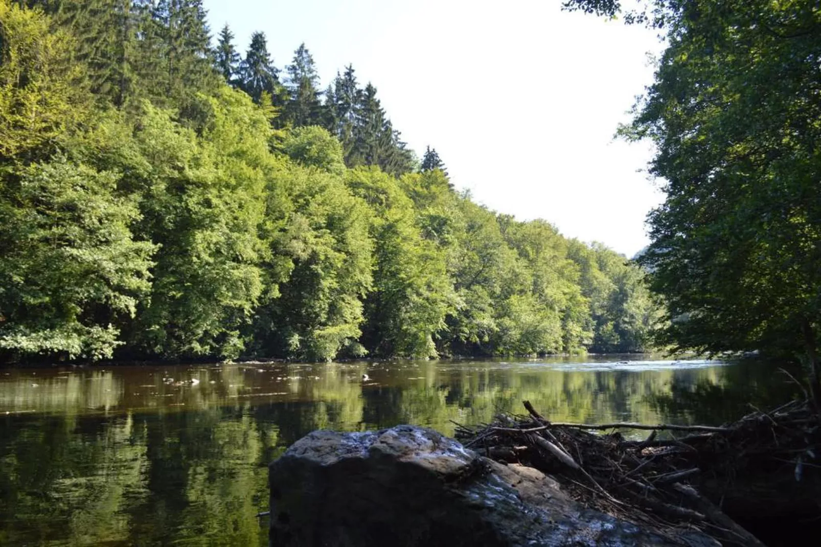 Brocard-Areas within 20km in summer