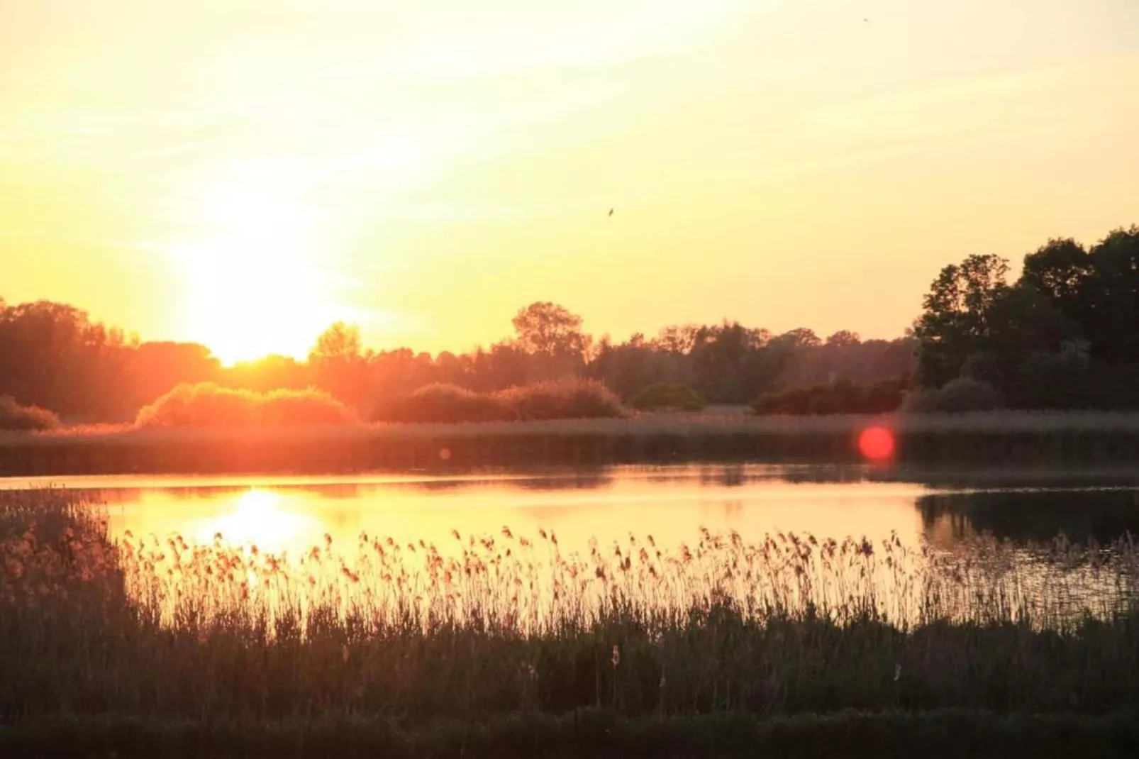 Mobilheim am Goldberger See-Areas within 20km in summer