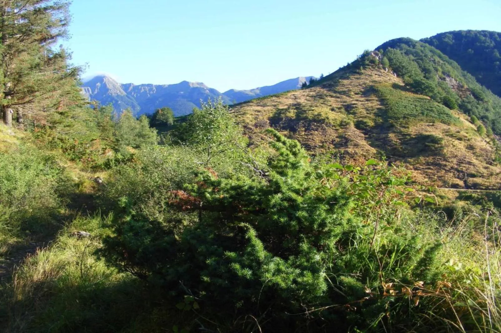Giuditta 8-Areas within 5km in summer