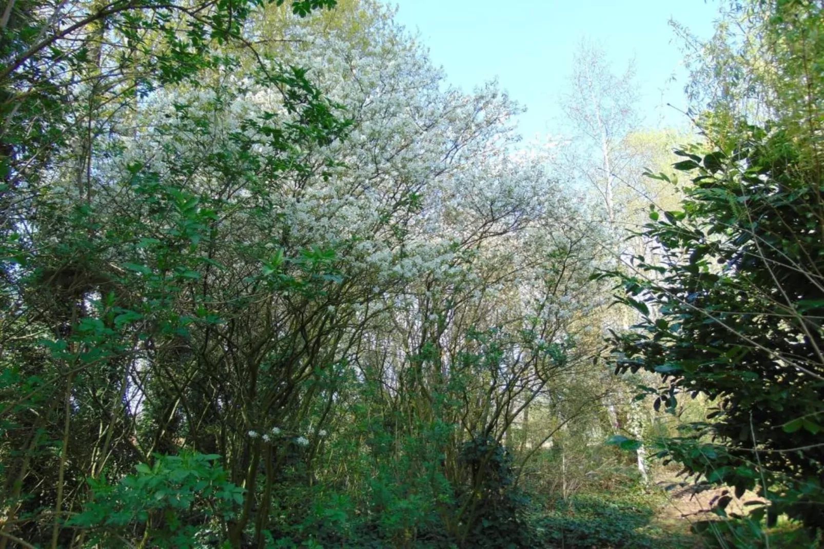 Verblijfpark Breebos 3-Areas within 20km in summer