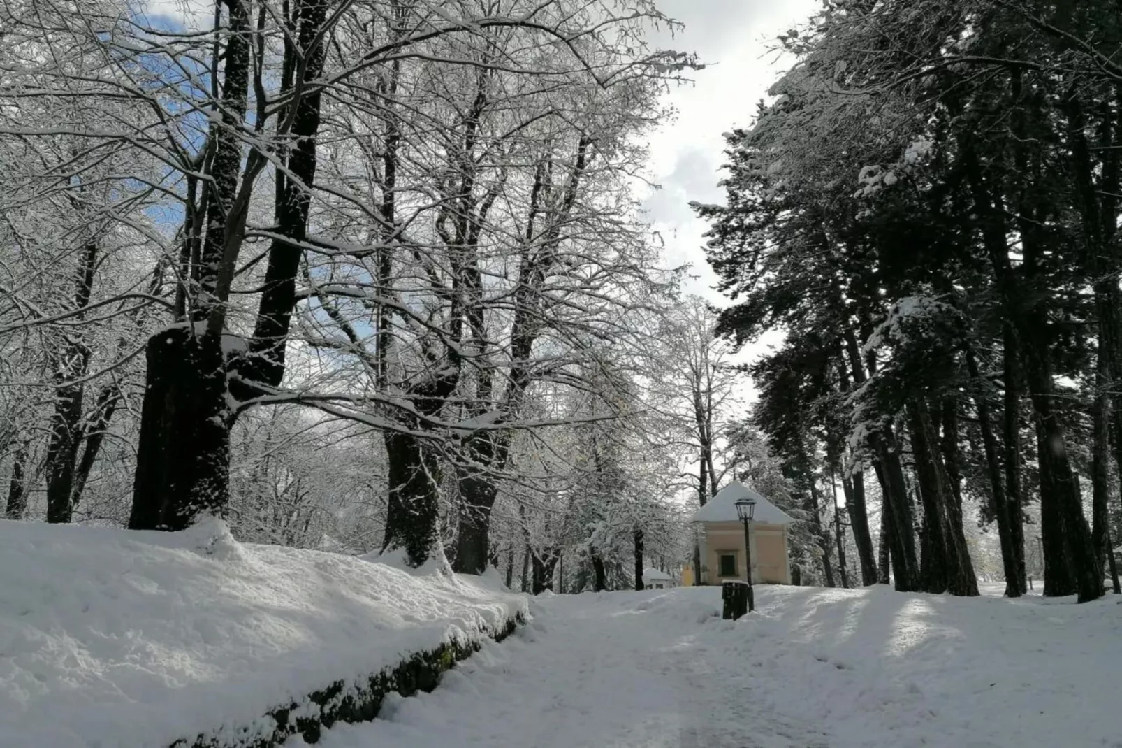 Le Plejadi Bilo 2 sr-Area within 20km in winter