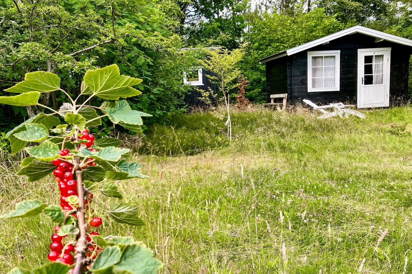 5 Personen Ferienhaus in Vesløs-By Traum-Außenbereich