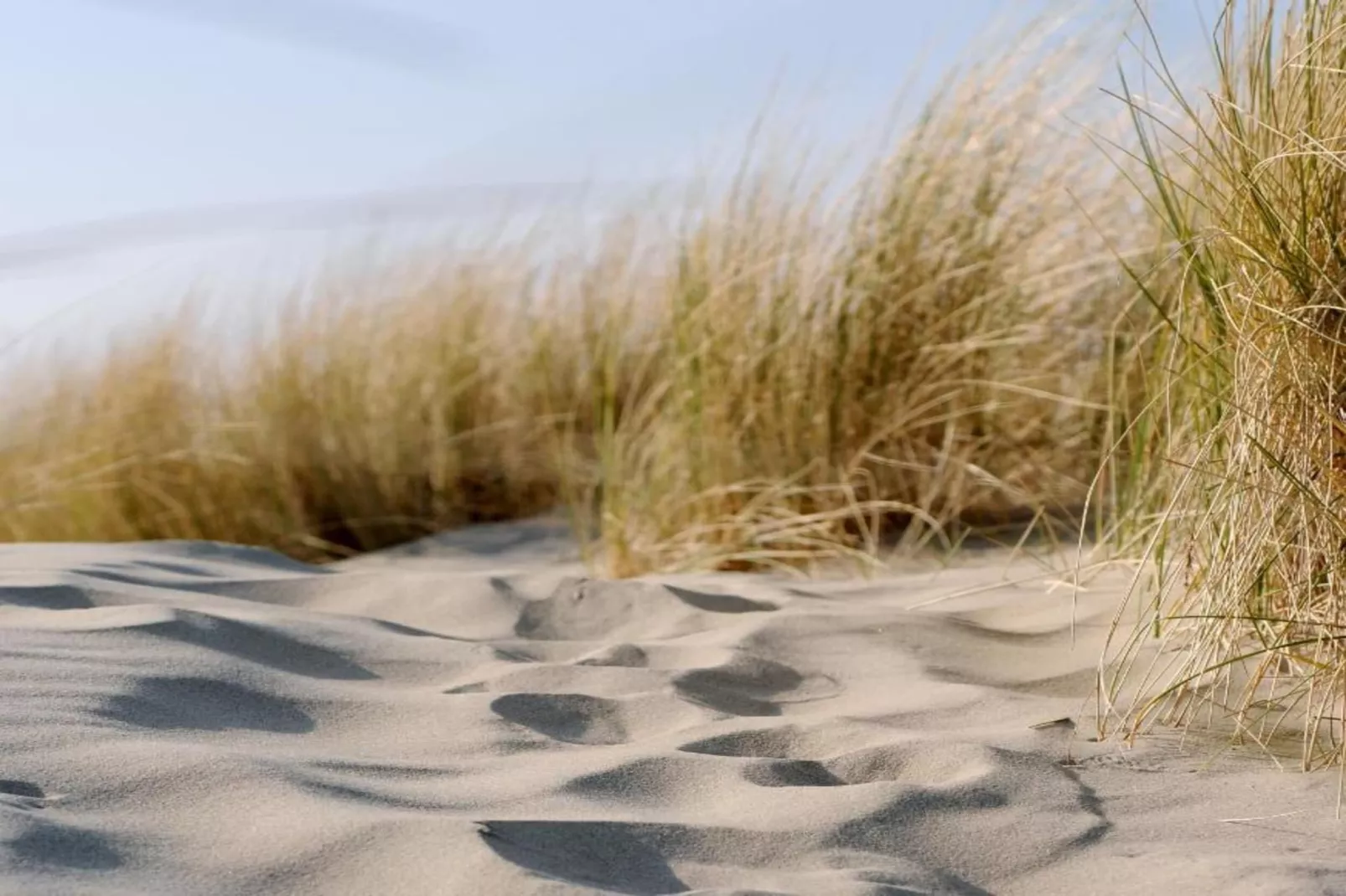 Vakantiewoning - Horizon 14  Renesse-Gebiete Sommer 20 km