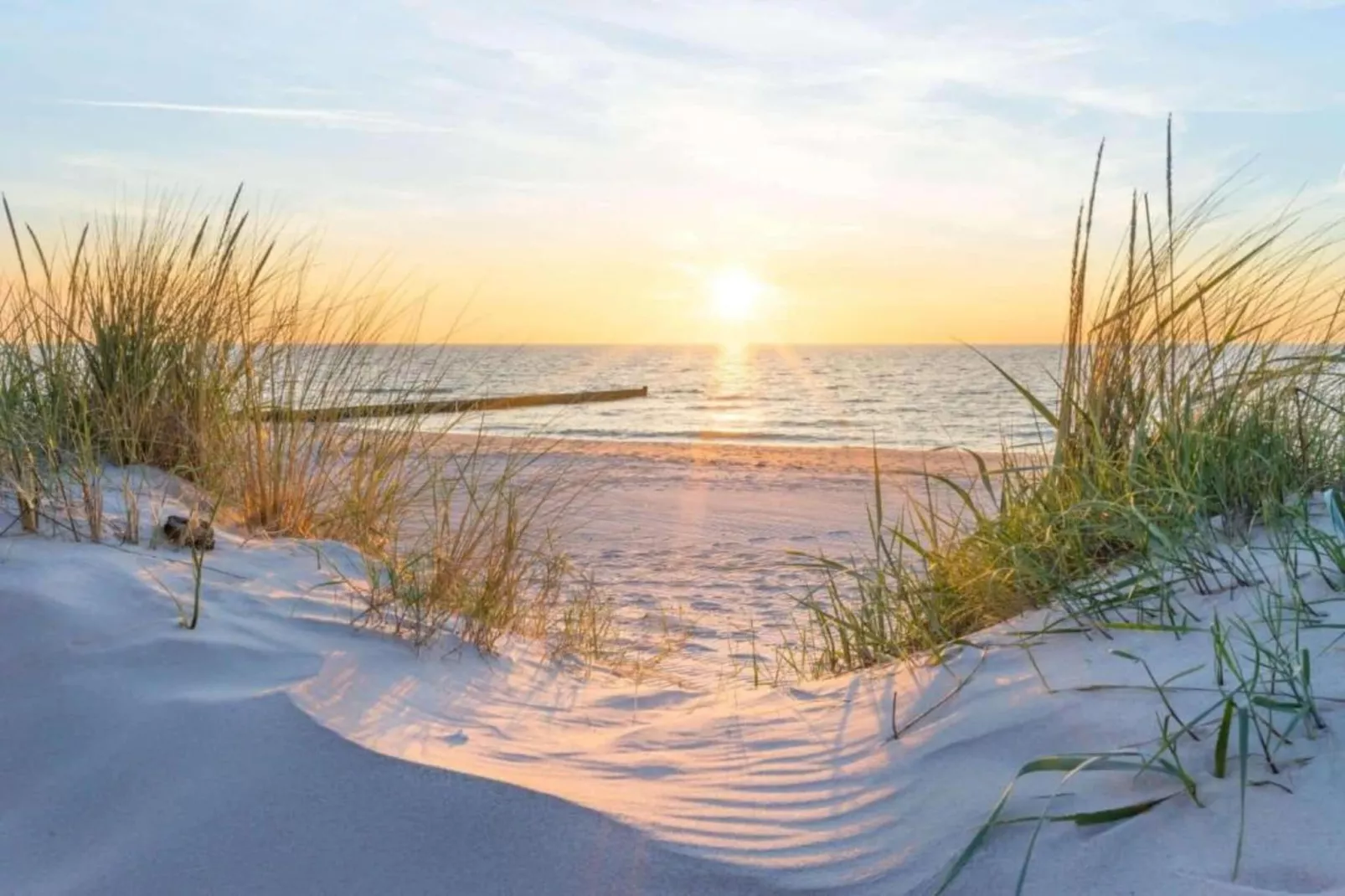 LECTUS 233/0201-Gebiete Sommer 20 km