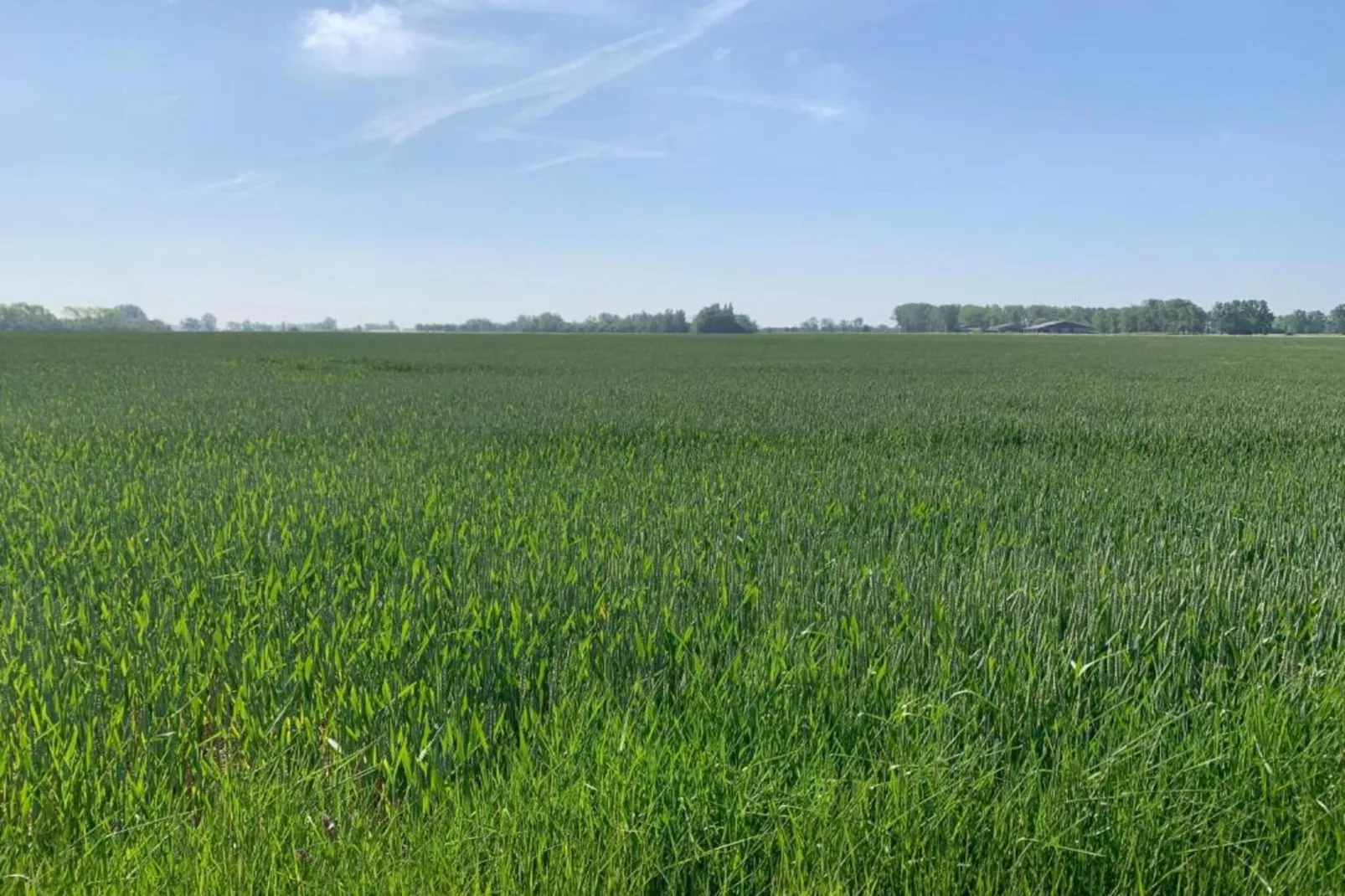 LELANTINA 303-Gebiete Sommer 20 km