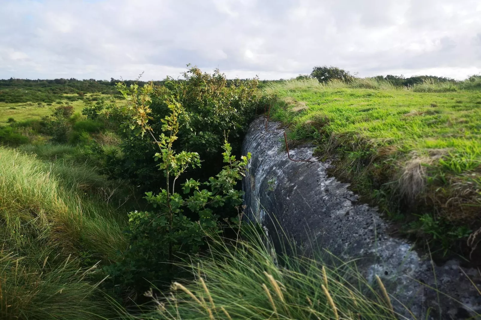 6 Personen Ferienhaus in Skjern-By Traum