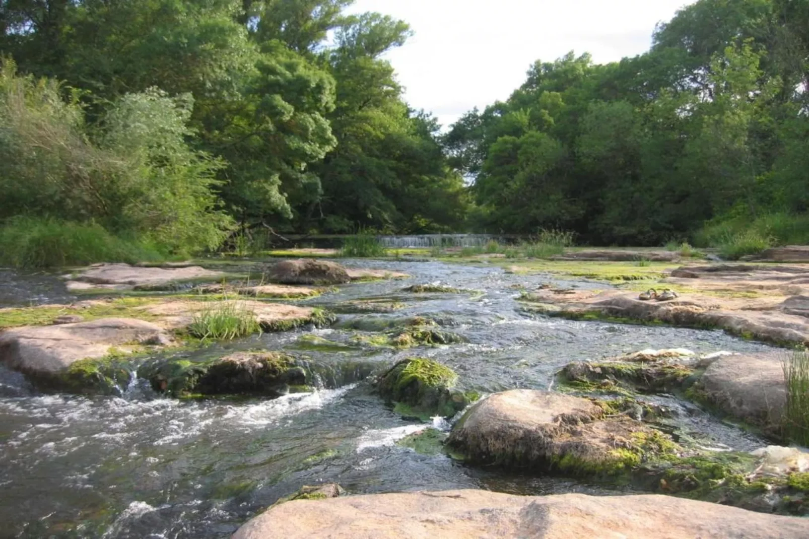 Elja Les Acacias-Areas within 20km in summer