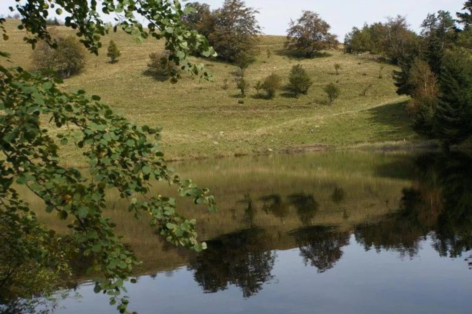 La Coccinelle-Areas within 20km in summer