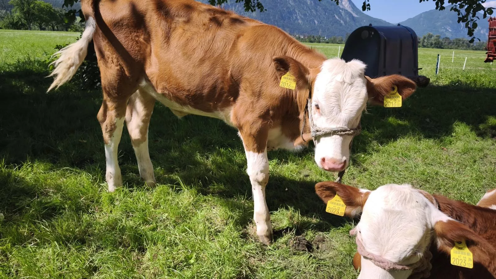 Schleicherhof III-Ausstattung