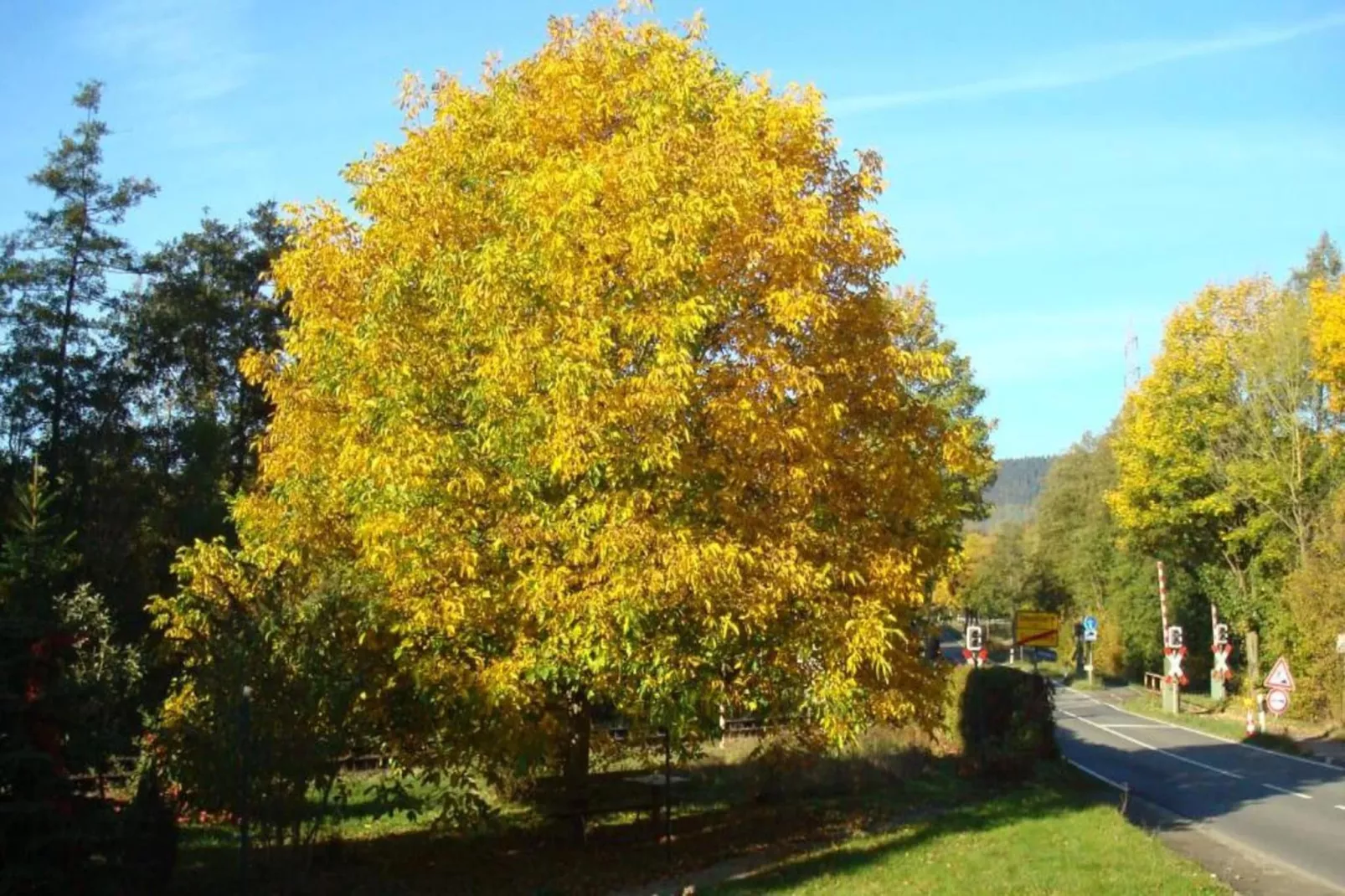 Ferienwohnung Happe-Gebiete Sommer 5 km