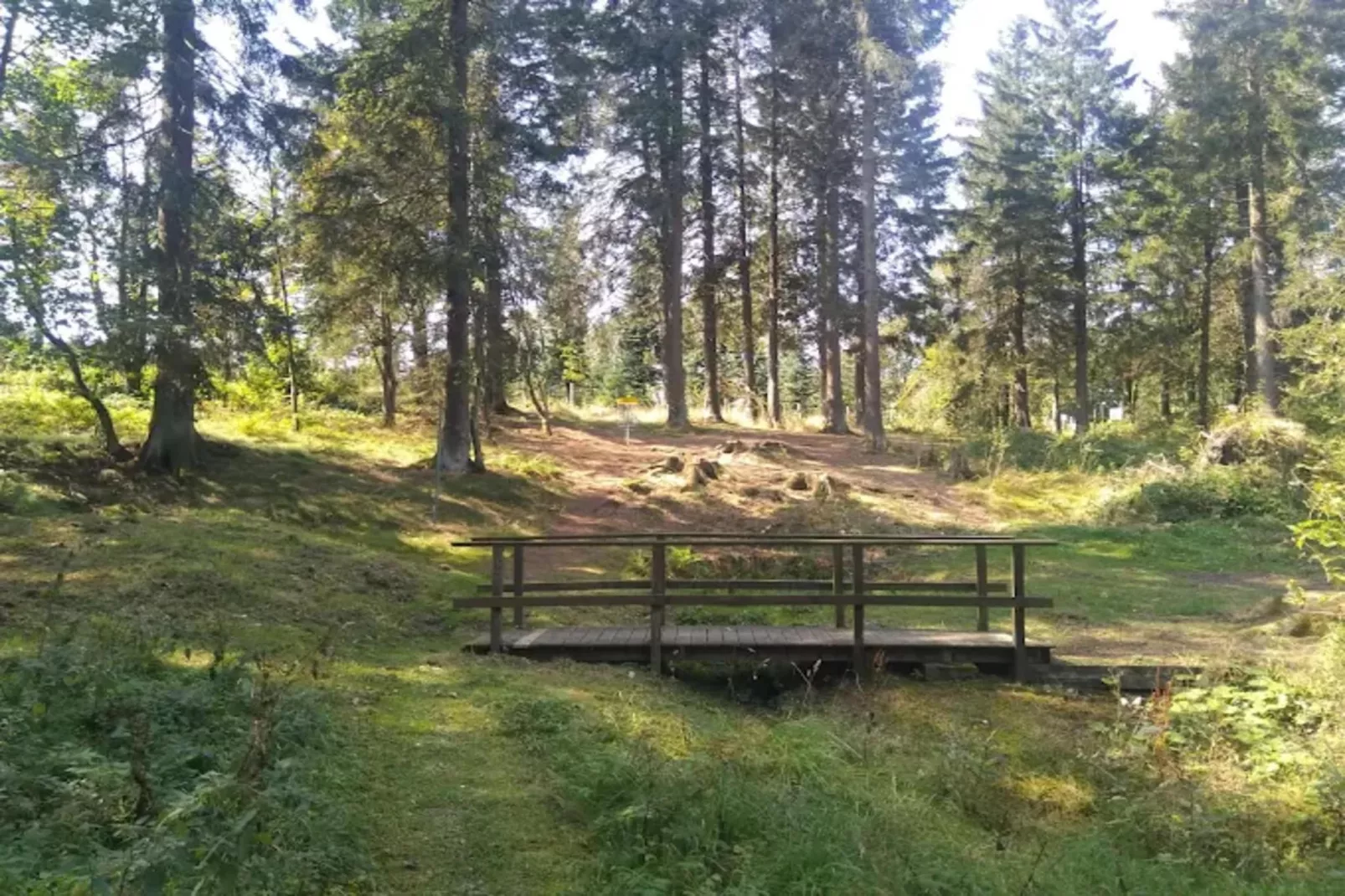 Appartement Lenneblick 2 - Altastenberg-Areas within 1km in summer