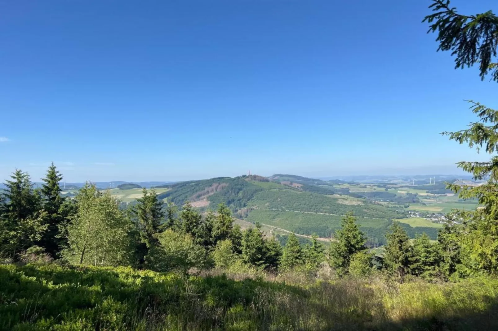 Ferienwohnung am Wald-Zones été à 5 km