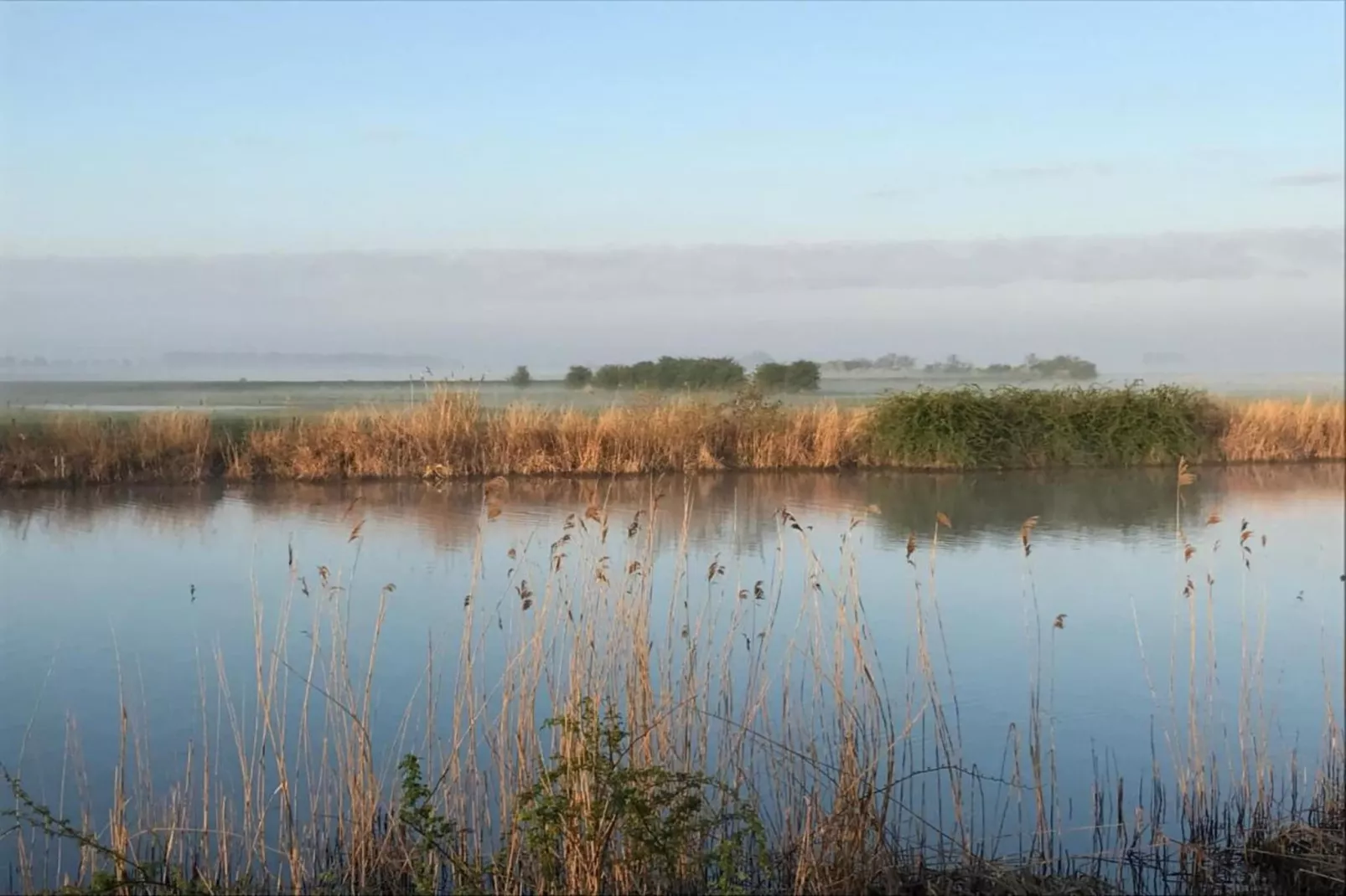 Kuifduiker 5-Areas within 20km in summer