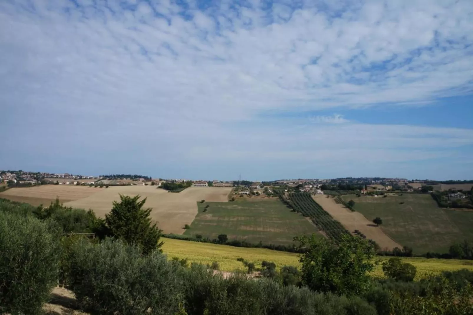 Tenda 1-Areas within 20km in summer