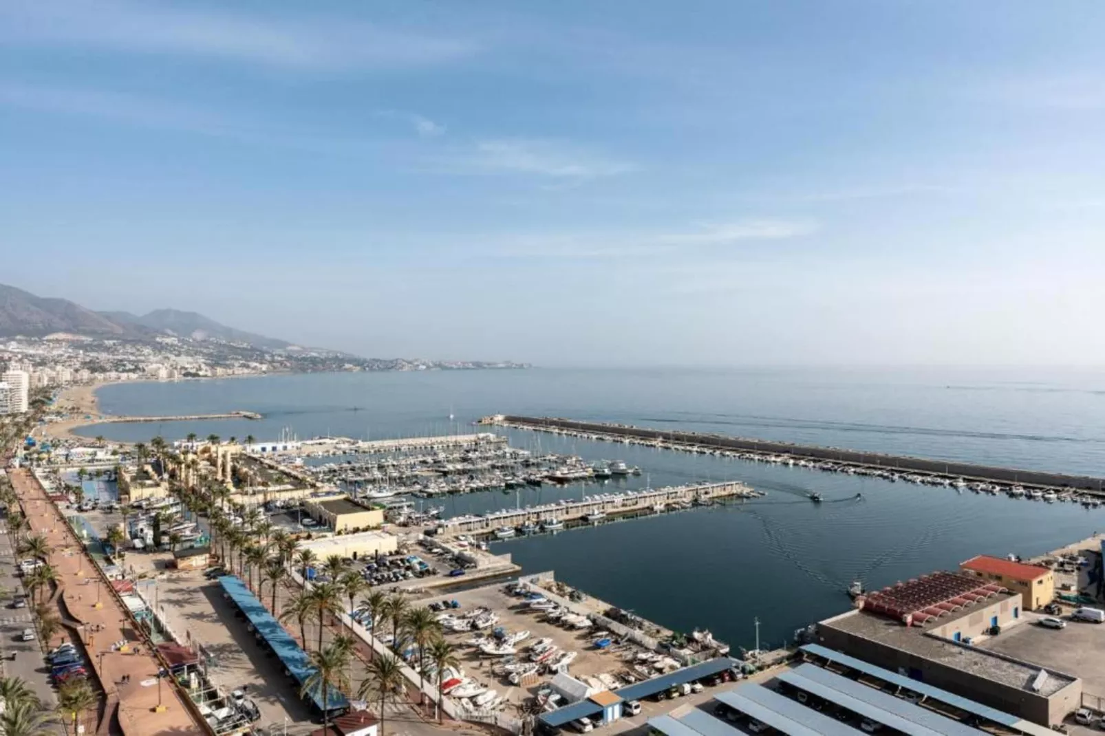 Bella Vista-Areas within 1km in summer