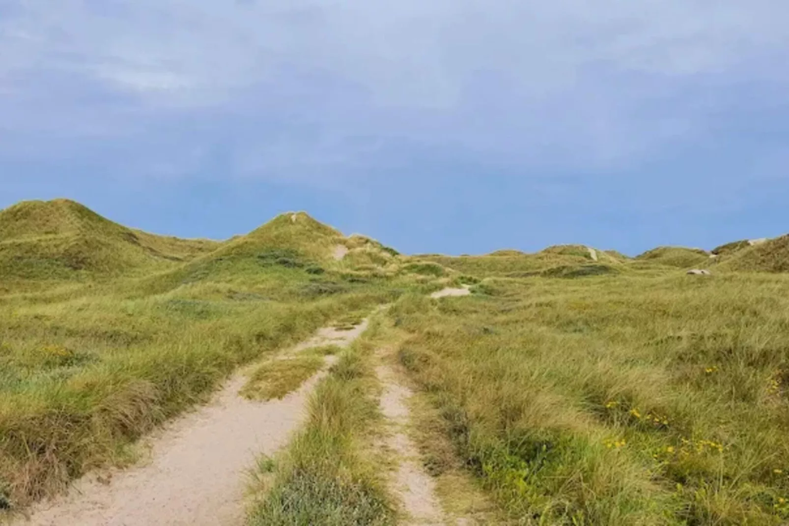4 star holiday home in Ulfborg