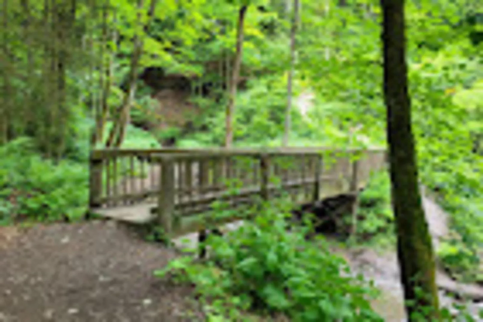 Kleine Auszeit Winterberg-Areas within 1km in summer