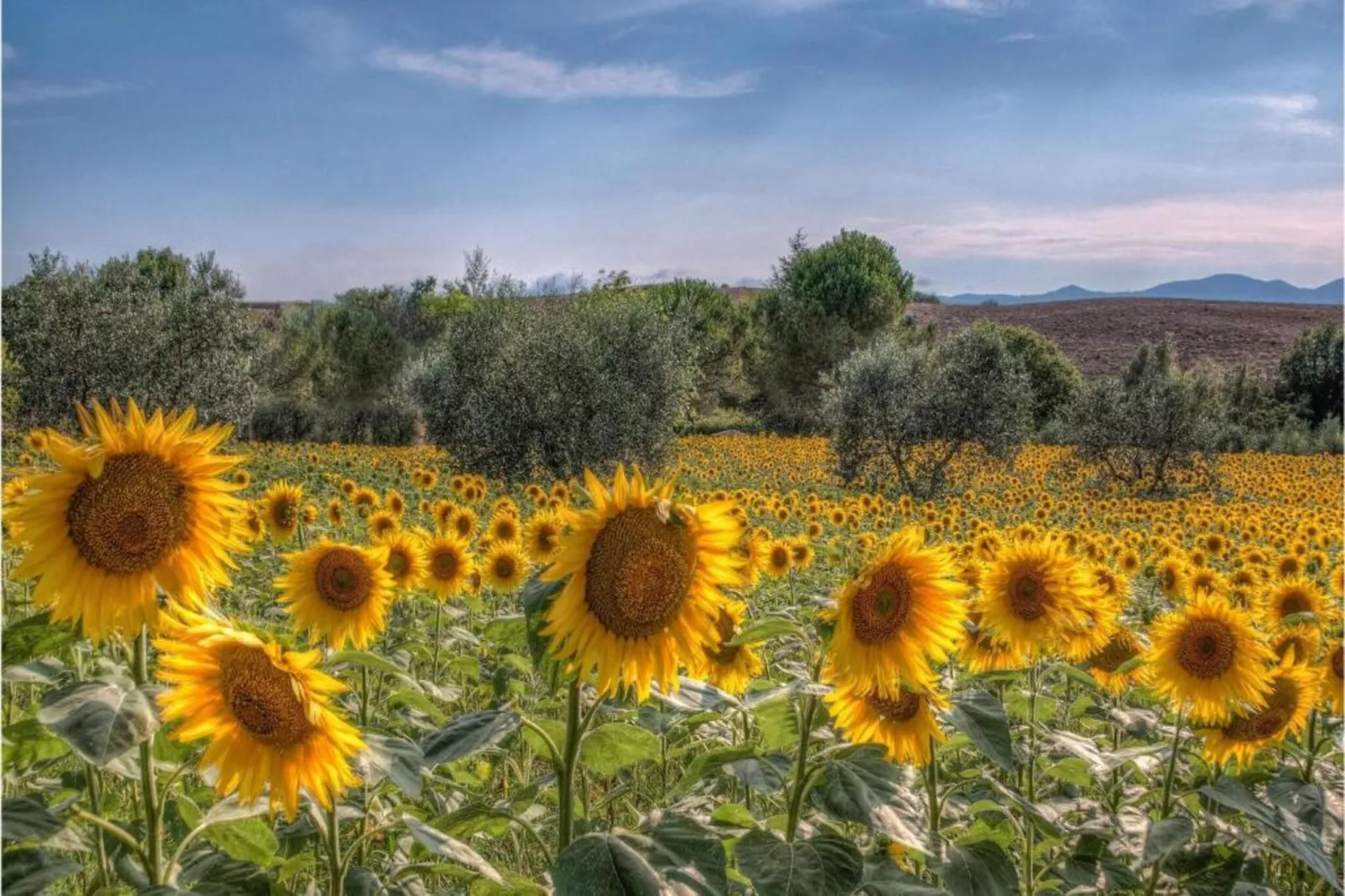 Villa Giuditta Otto-Areas within 5km in summer