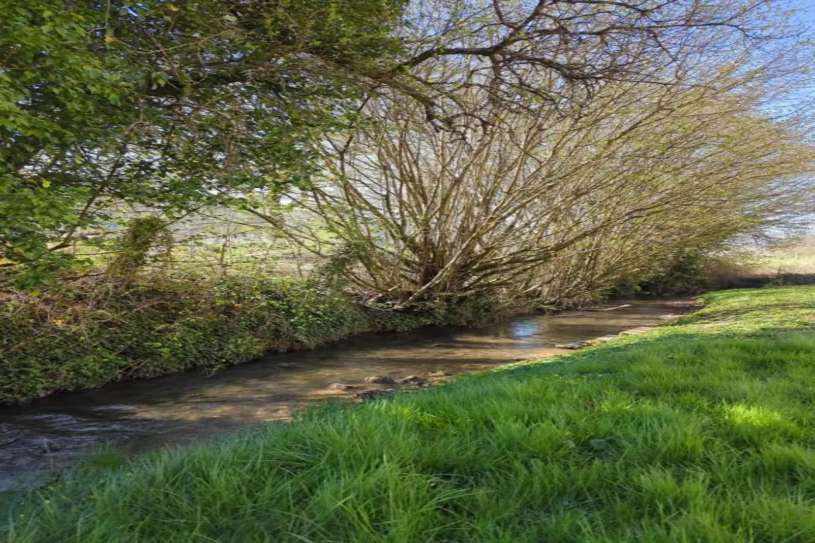 Le Phenix-Areas within 20km in summer
