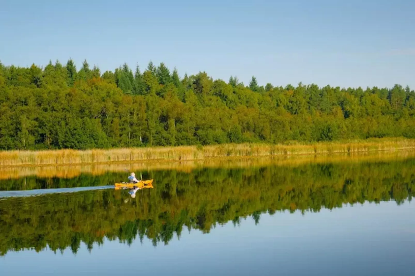 Kormoran 125-Areas within 1km in summer