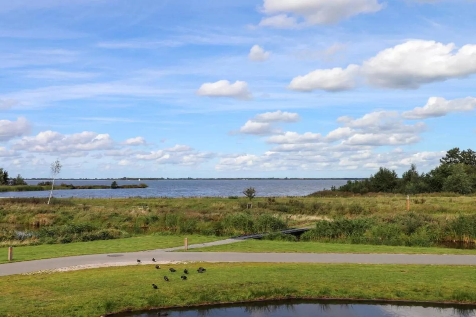 Docklodge 12-Areas within 5km in summer