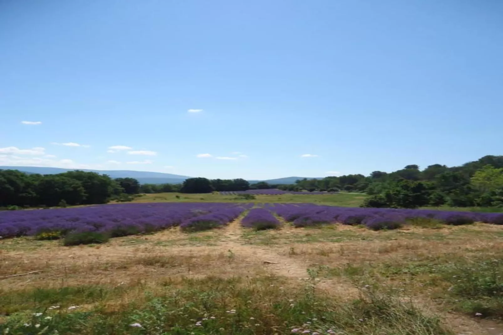 Le Pailliou-Areas within 20km in summer