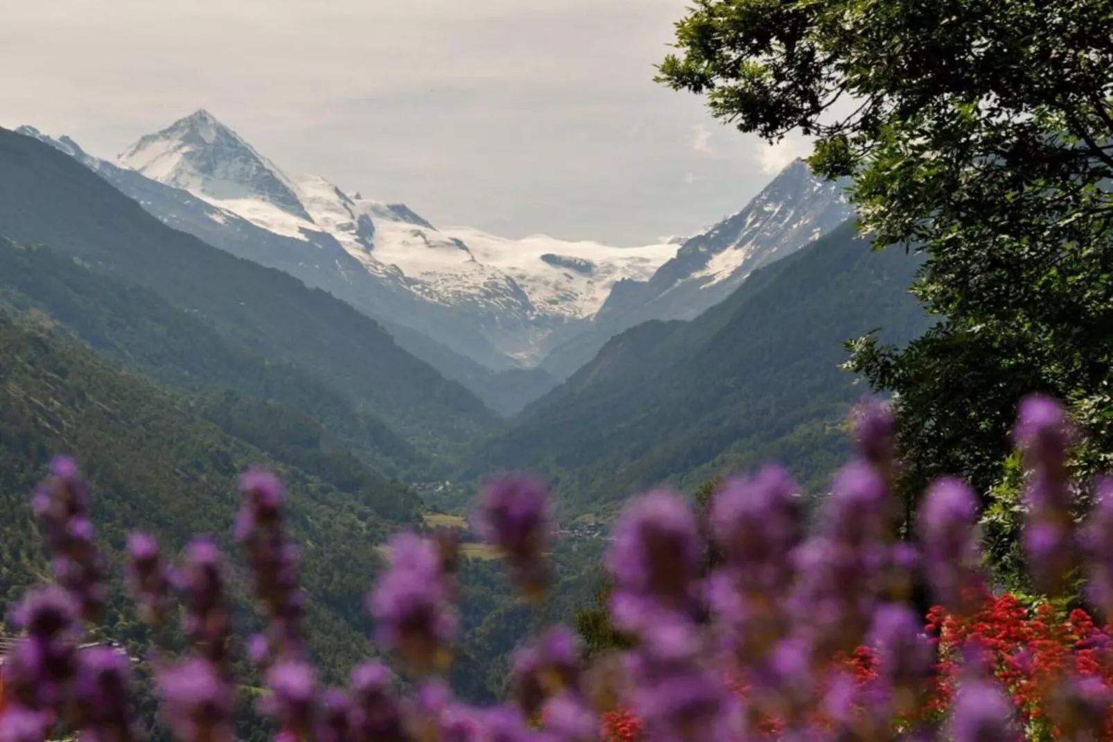 Mayens de l'Ours AZ 032 - MOUNTAIN apartment 6 p-Gebiete Sommer 5 km