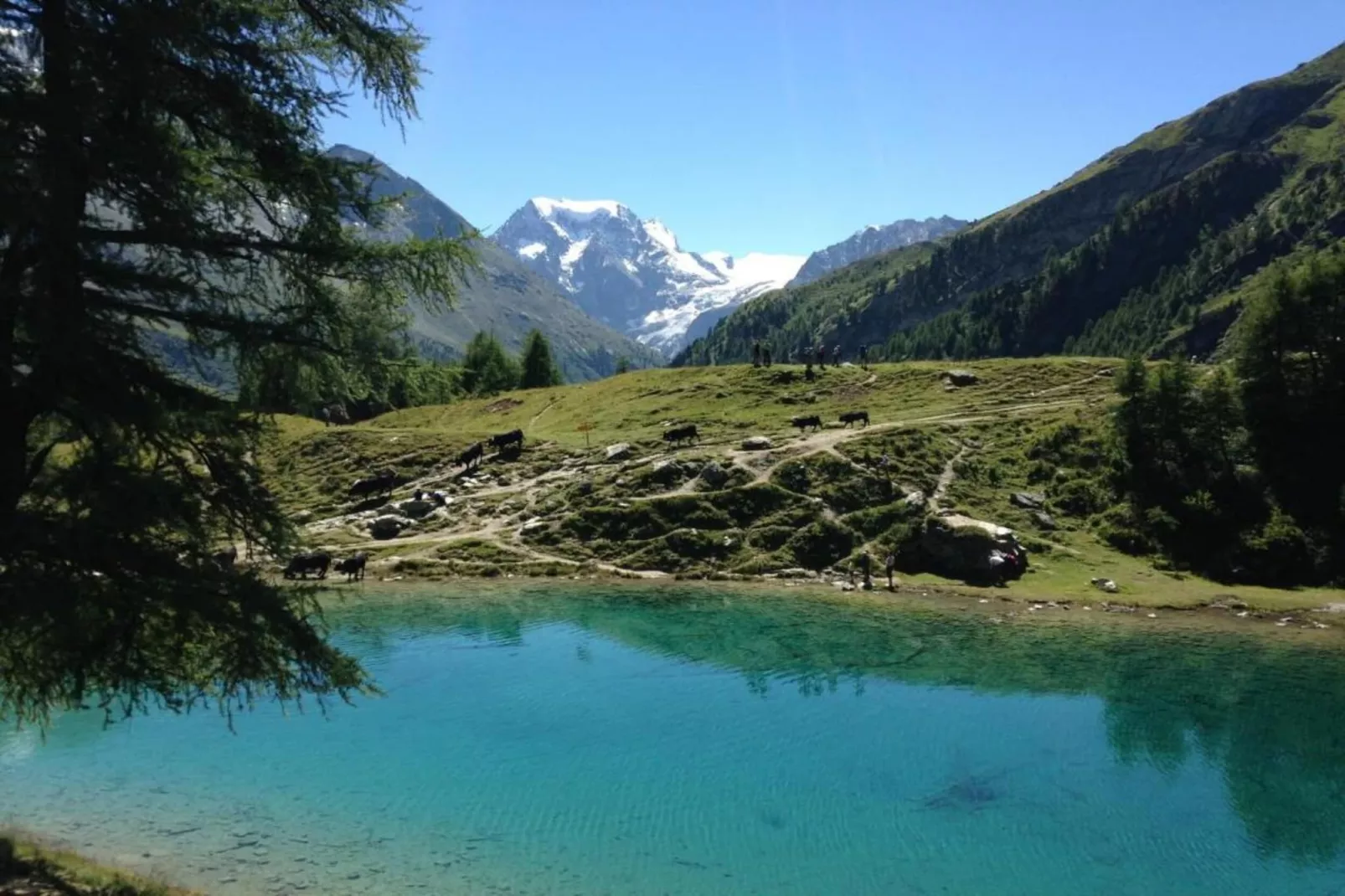 Pracondu 2 307 - OUTDOOR & FUN charming apartment-Gebiete Sommer 5 km